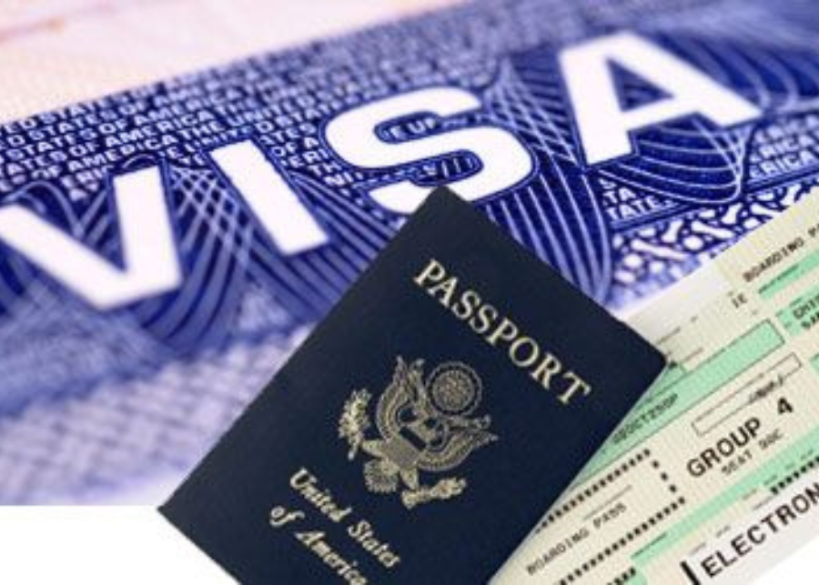 Visa Services Expert Visa consultant assisting a traveler